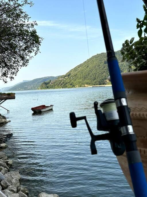 Dunavska Vila Milosavljevic Donji Milanovac Esterno foto